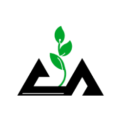 에이아이에스